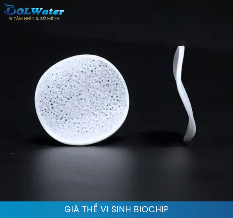 Sản phẩm giá thể vi sinh BIOCHIP với cấu trúc lỗ rỗng tinh xảo.