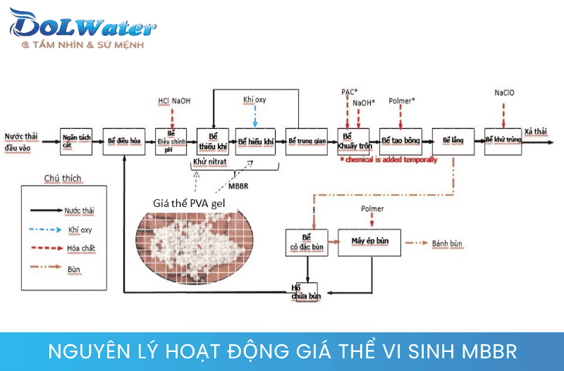 Cơ chế chuyển động lơ lửng của giá thể vi sinh MBBR trong bể xử lý.
